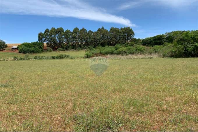 ÁREA DE TERRA EM ERNESTINA/RS
